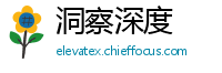 洞察深度