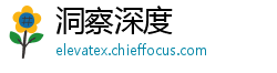 洞察深度